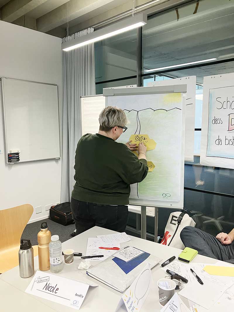 Informationsvisualisierung-lernen-Kurs Veranschaulichungs-Workshop